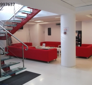 IRON CRAFT WOOD - FIER FORJAT CONSTANTA